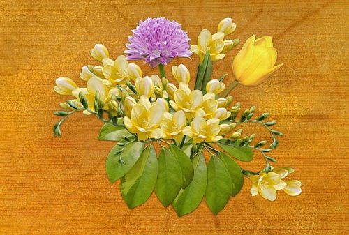 フリージアの花言葉の意味 由来 誕生花 花言葉のシャルロー