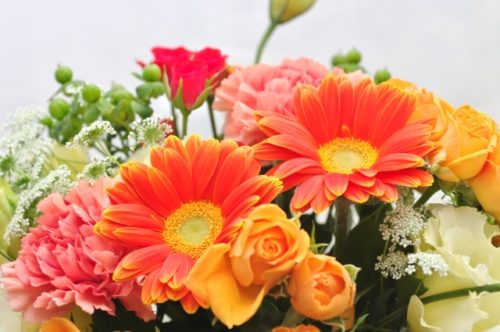 ヒペリカムの花言葉の由来 意味 誕生花 花言葉のシャルロー